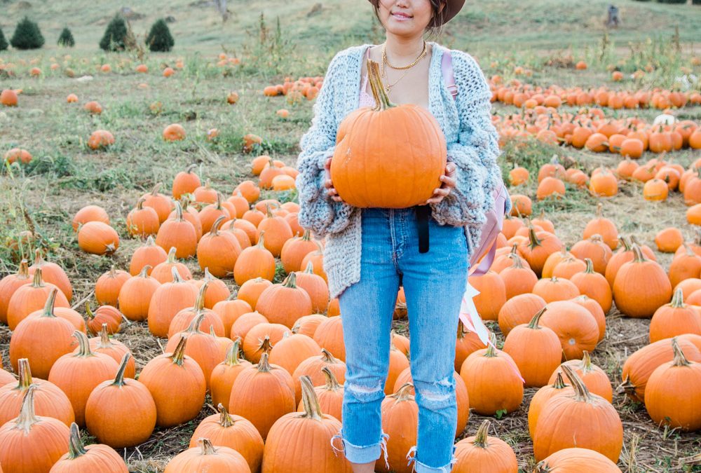 Maryland 2026 Fall Farms, Festivals, and Haunted Forests