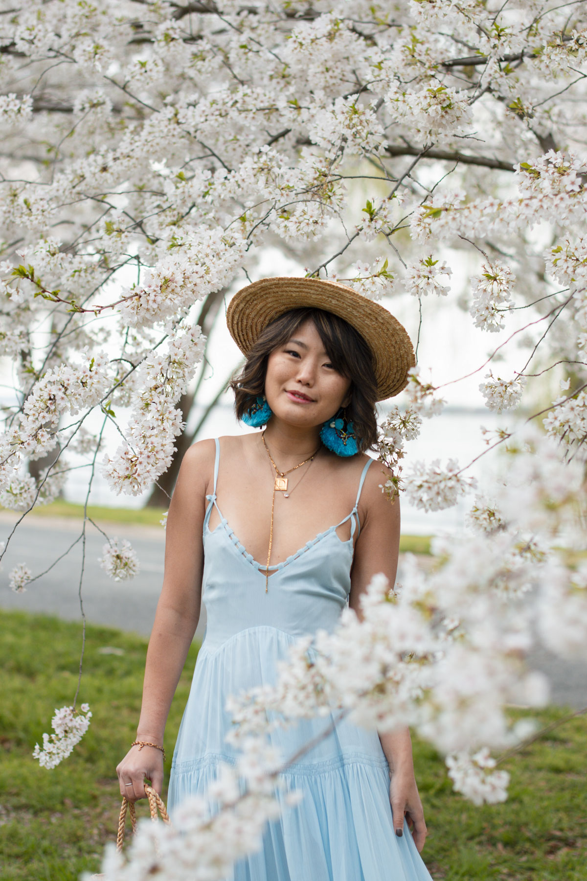hains point cherry blossom portraits